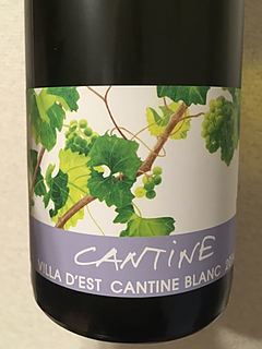 Villa d'Est Cantine Blanc