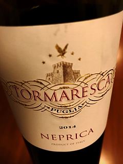 写真（ワイン） by masa44