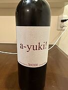 トリンケーロ アユーキ