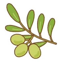 user-icon