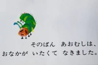 user-icon