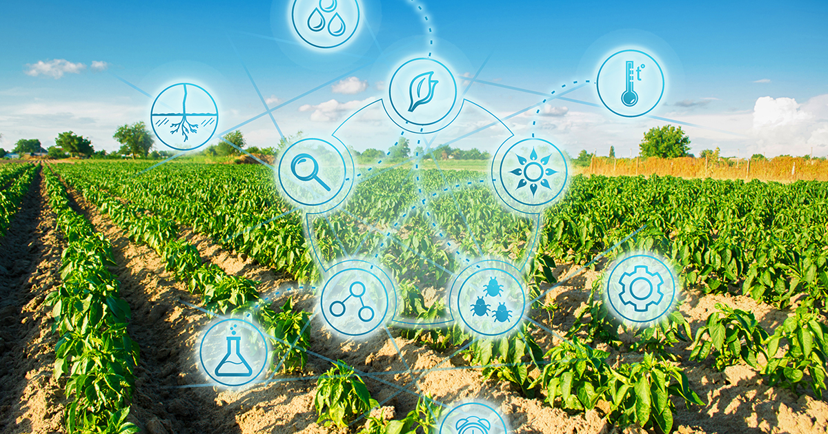 農業 Itで業界に変革をもたらす注目の農業ベンチャー3社 社長 直結 メディア 社長名鑑