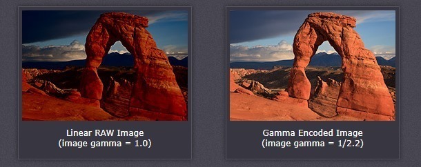 ガンマ が分かりにくいから調べてまとめてみた Vook ヴック