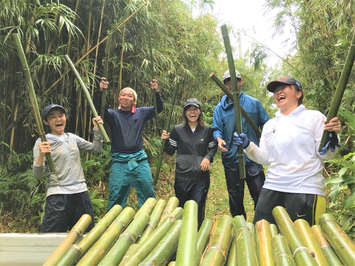 トップ投稿画像