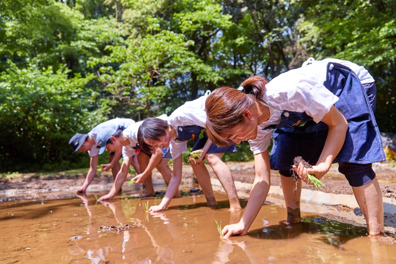 トップ投稿画像
