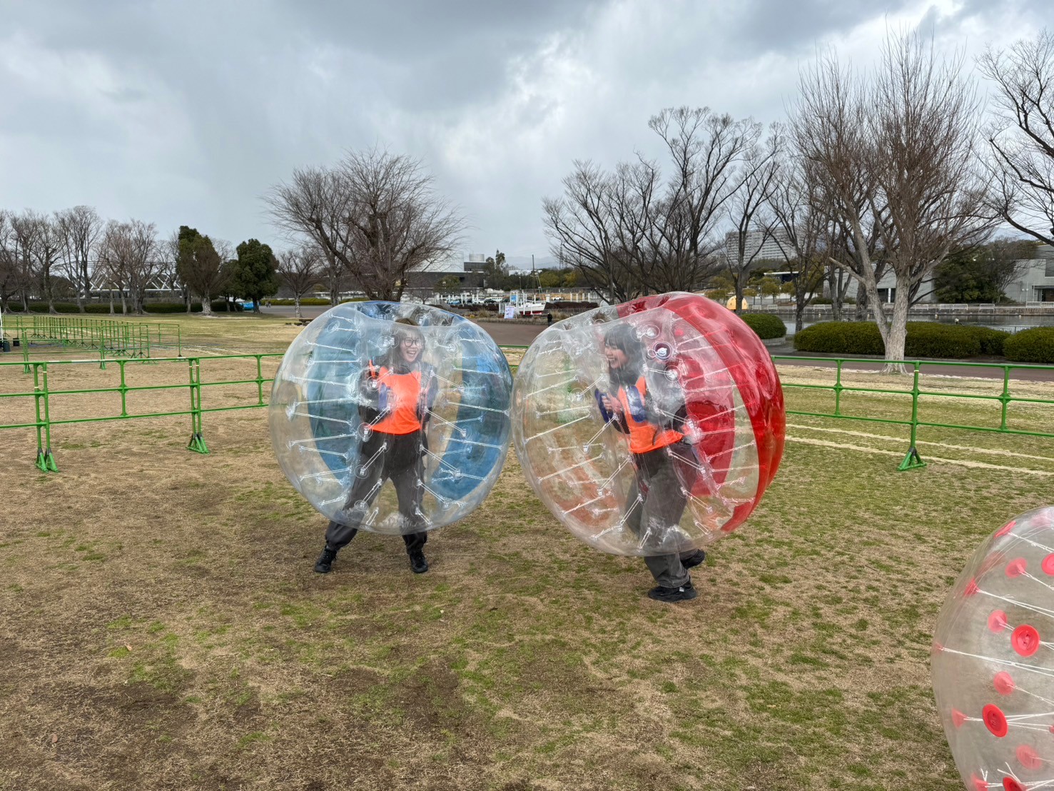 トップ投稿画像