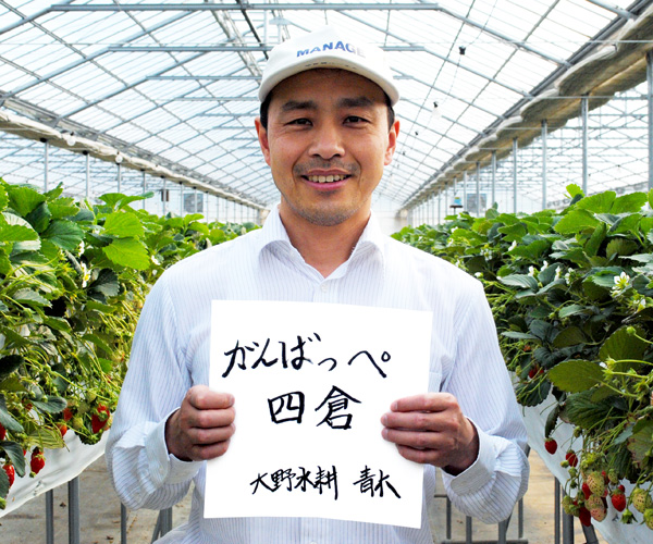トップ投稿画像
