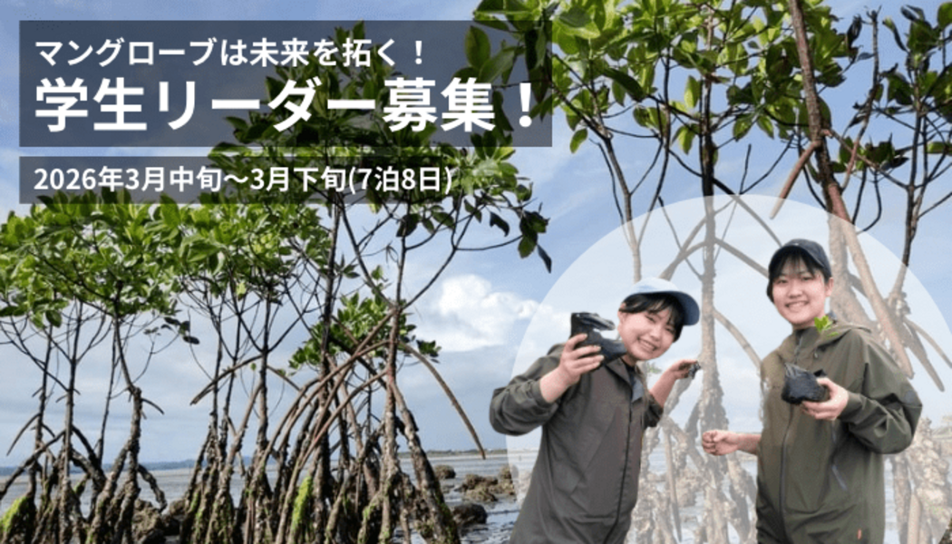 トップ投稿画像