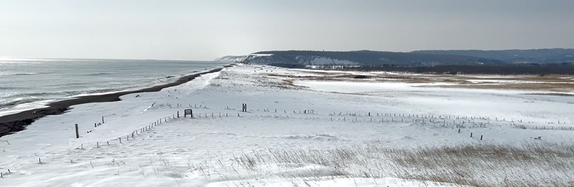 トップ投稿画像