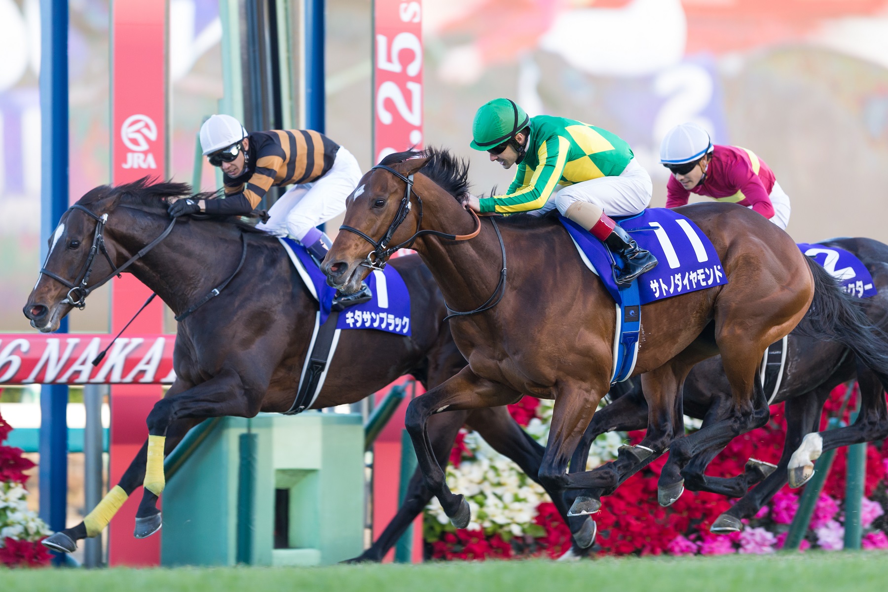 有馬記念は オヤジの遊戯 ではなくなった 競馬界の改革と各公営競技のpr戦略とは Victory