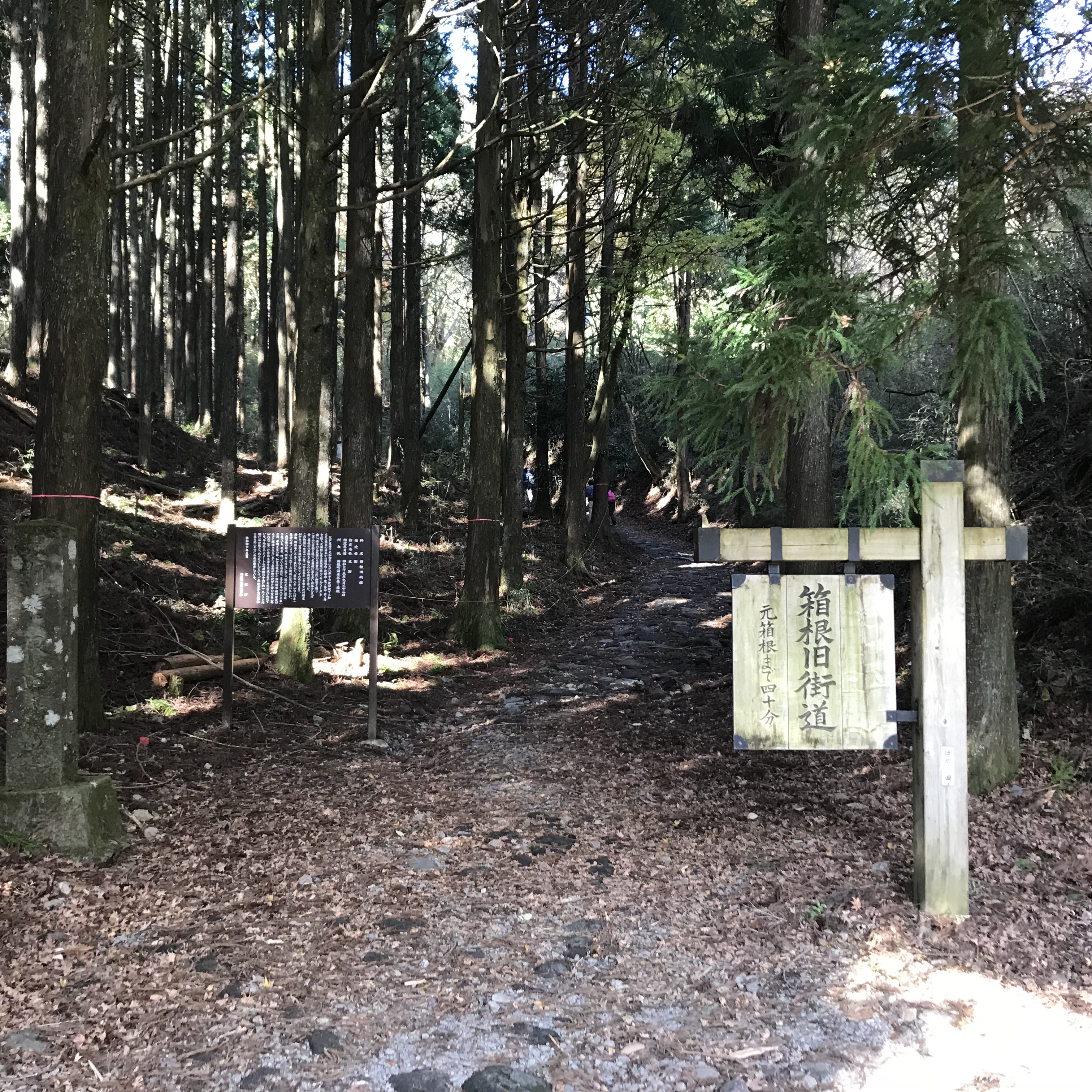 介紹 富士山美景遊觀其五 三島天空步道 與日本遺產 箱根八里