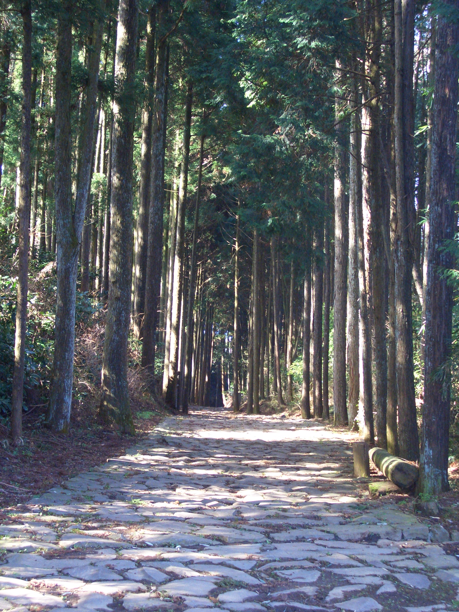 介紹 富士山美景遊觀其五 三島天空步道 與日本遺產 箱根八里