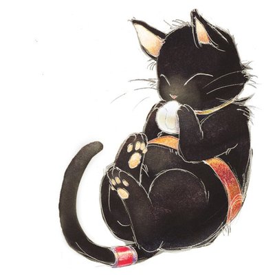 blackcat009@misskey.io