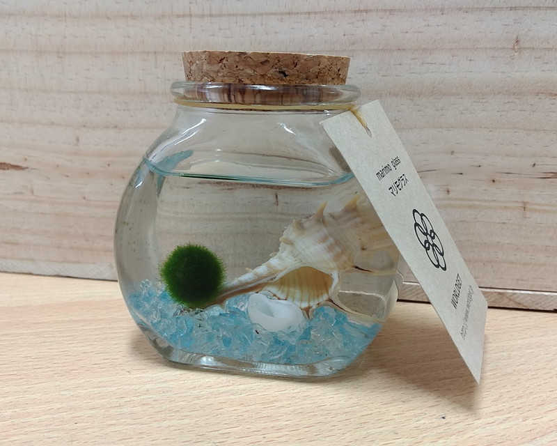 まりも NPS188 大分県尾平鉱山産まりも水晶 原石 水晶天然石専門店