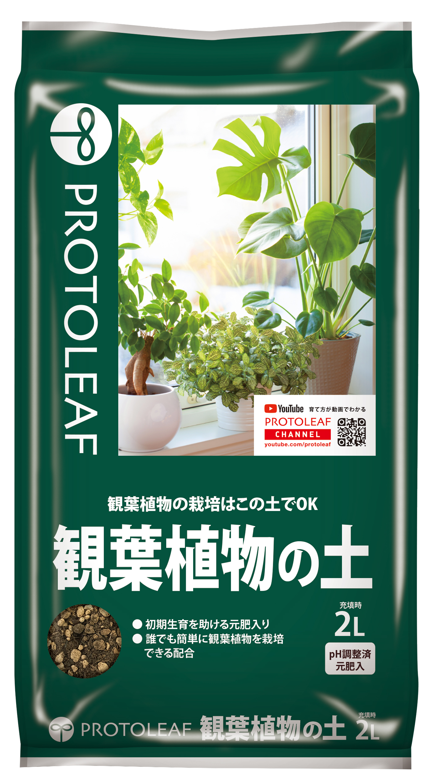 2点、観葉植物　専用 166811410_th.jpg?
