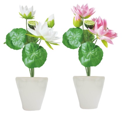 ⭐️ marcuchoo⭐️流木ガラス　オブジェ 花瓶 多肉植物 6点セット 検索結果 | 商品検索 | グッデイならできる♪家族でつくる、いい一日