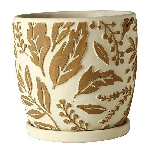 検索結果 | 商品検索 | グッデイならできる♪家族でつくる、いい