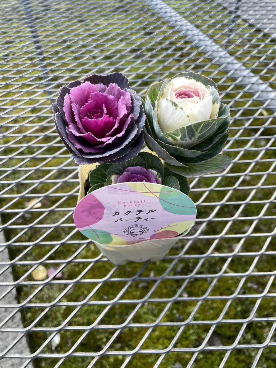 検索結果 | 商品検索 | グッデイならできる♪家族でつくる、いい一日