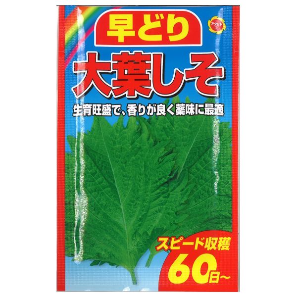 大葉 早どり 大葉しそ | 商品検索 | グッデイならできる♪家族でつくる