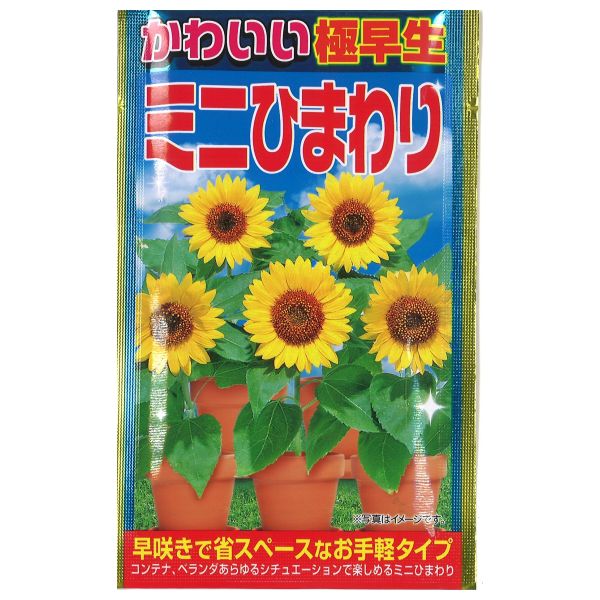 極早生切花用 ミニひまわり | 商品検索 | グッデイならできる♪家族で
