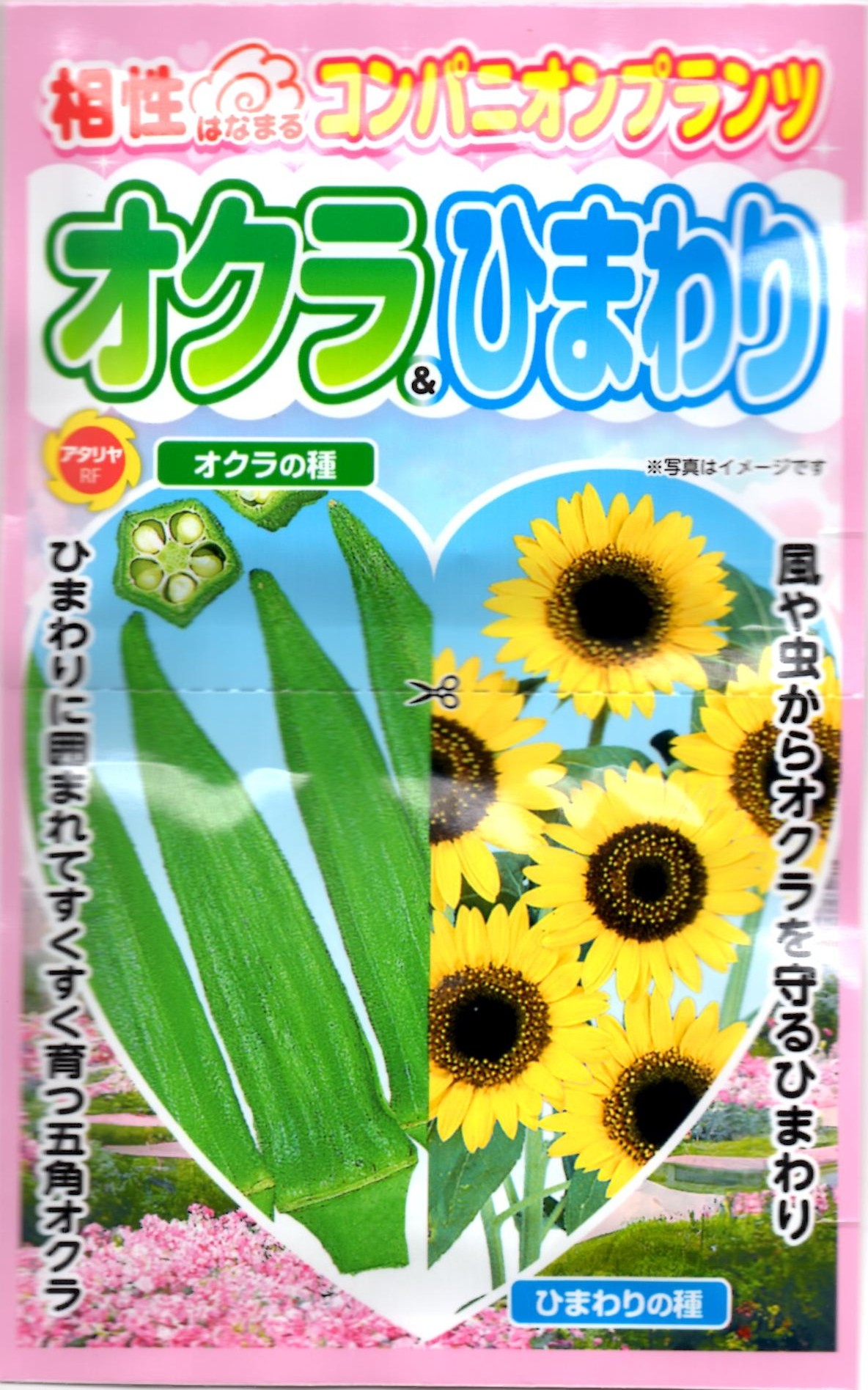 コンパニオンプランツ オクラ＆ひまわり | 商品検索 | グッデイなら