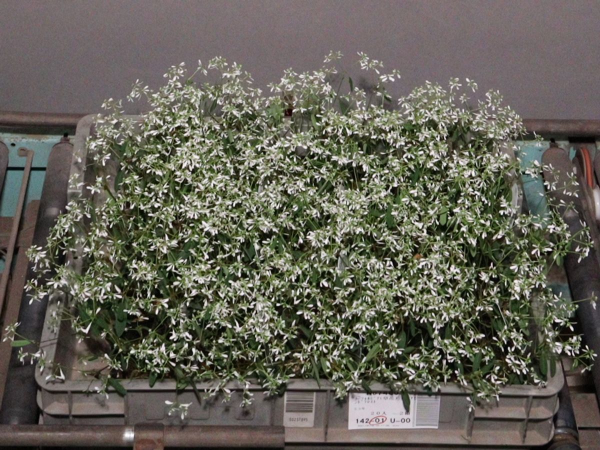 検索結果 | 商品検索 | グッデイならできる♪家族でつくる、いい一日