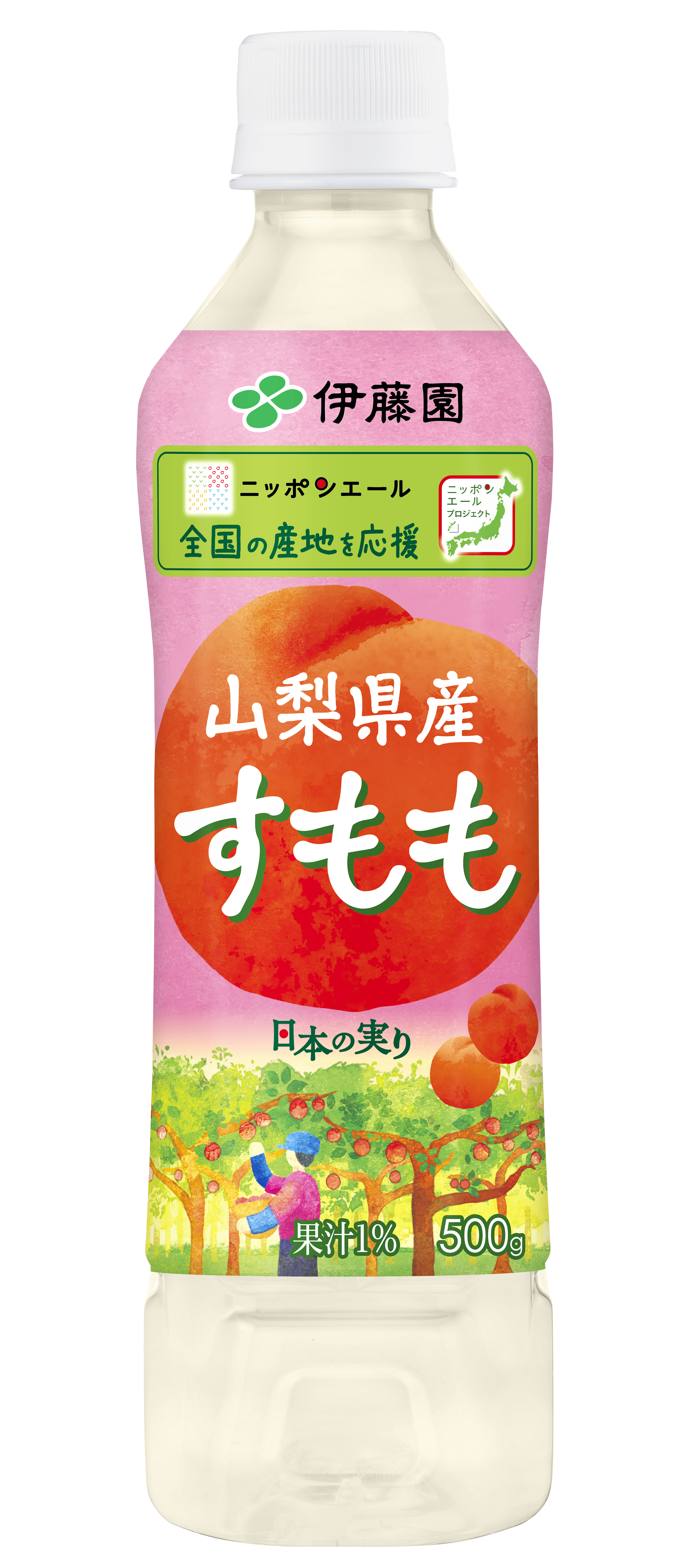 山梨県産すもも 500ml ／ 伊藤園 | 商品検索 | グッデイなら