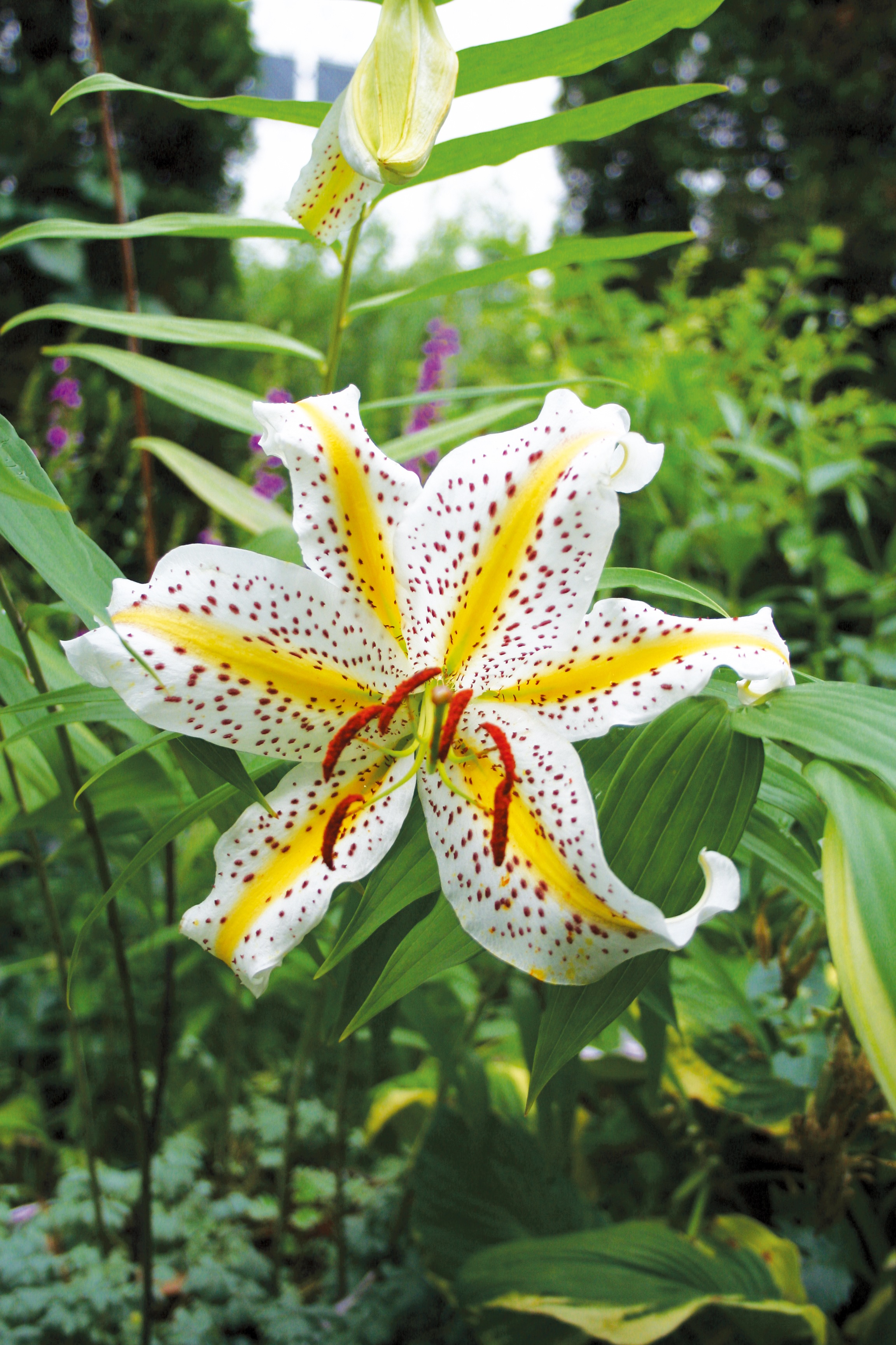 検索結果 | 商品検索 | グッデイならできる♪家族でつくる、いい