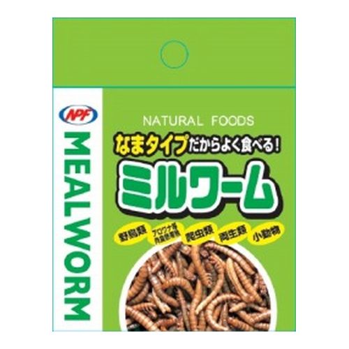 ミルワーム35G ／ ナチュラル | 商品検索 | グッデイならできる