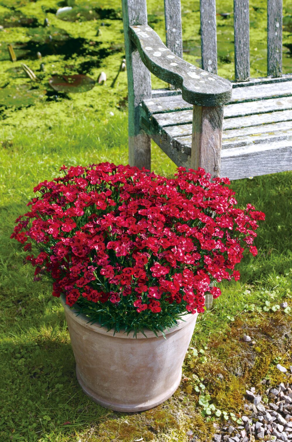 検索結果 | 商品検索 | グッデイならできる♪家族でつくる、いい