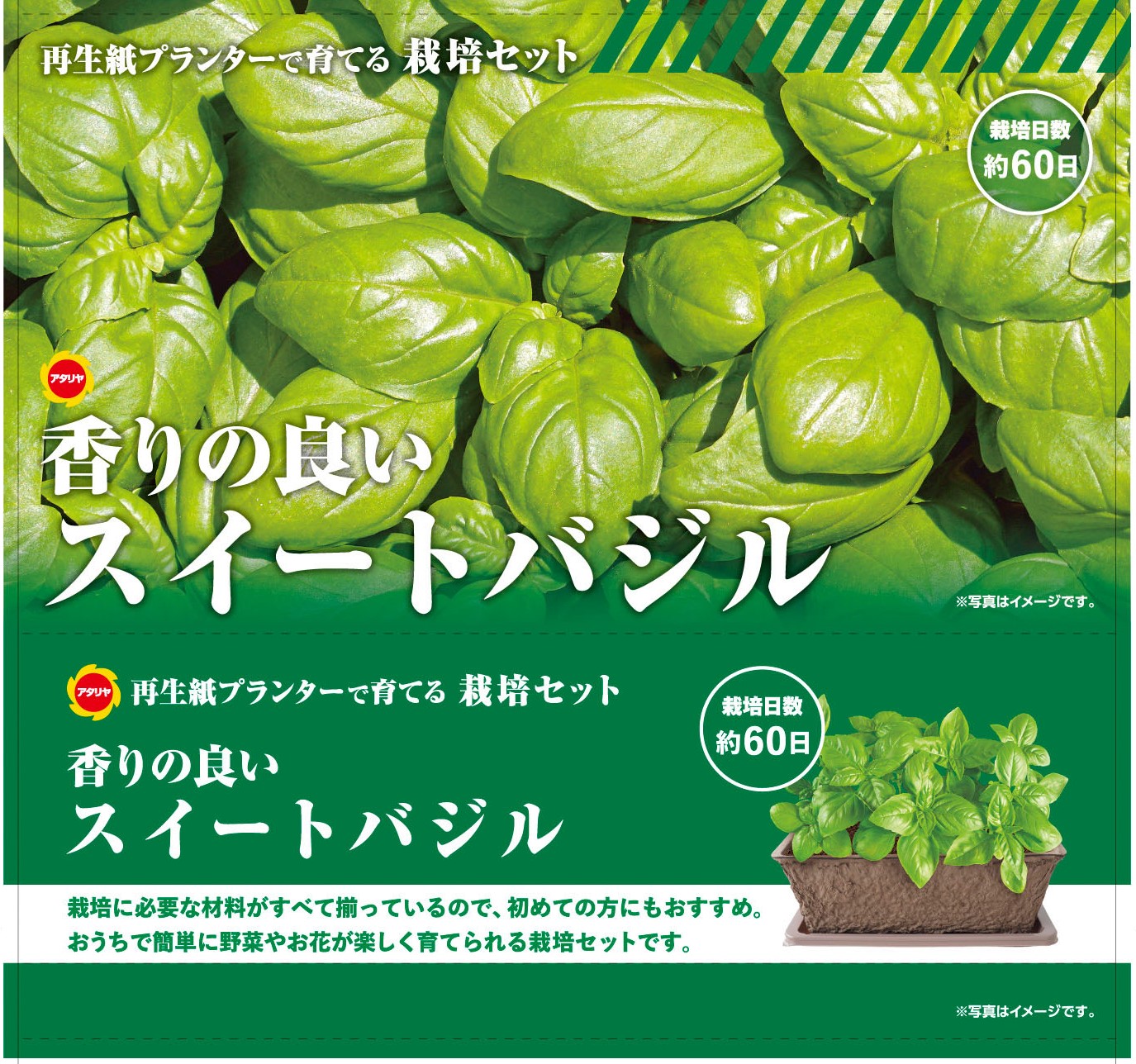 栽培セット バジル | 商品検索 | グッデイならできる♪家族でつくる