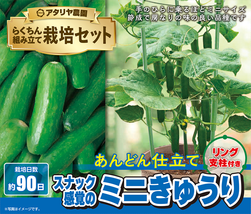 支柱付き栽培セット ミニきゅうり | 商品検索 | グッデイならできる
