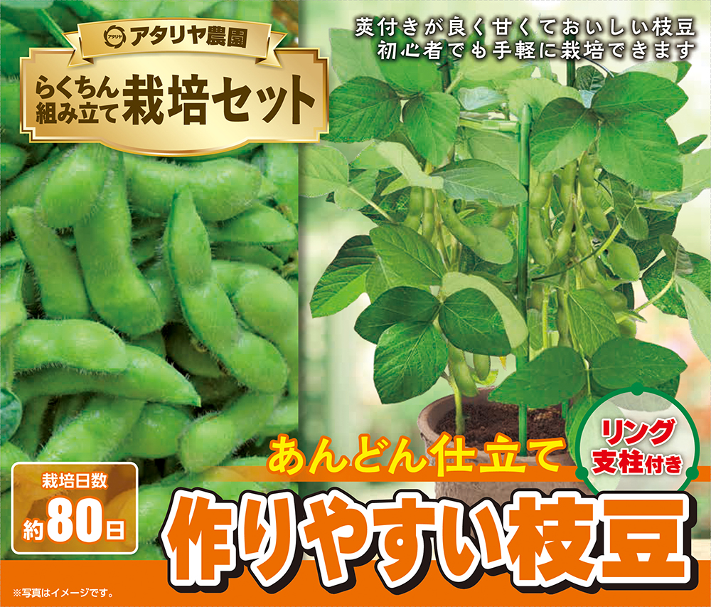 支柱付き栽培セット 作りやすい枝豆 | 商品検索 | グッデイならできる