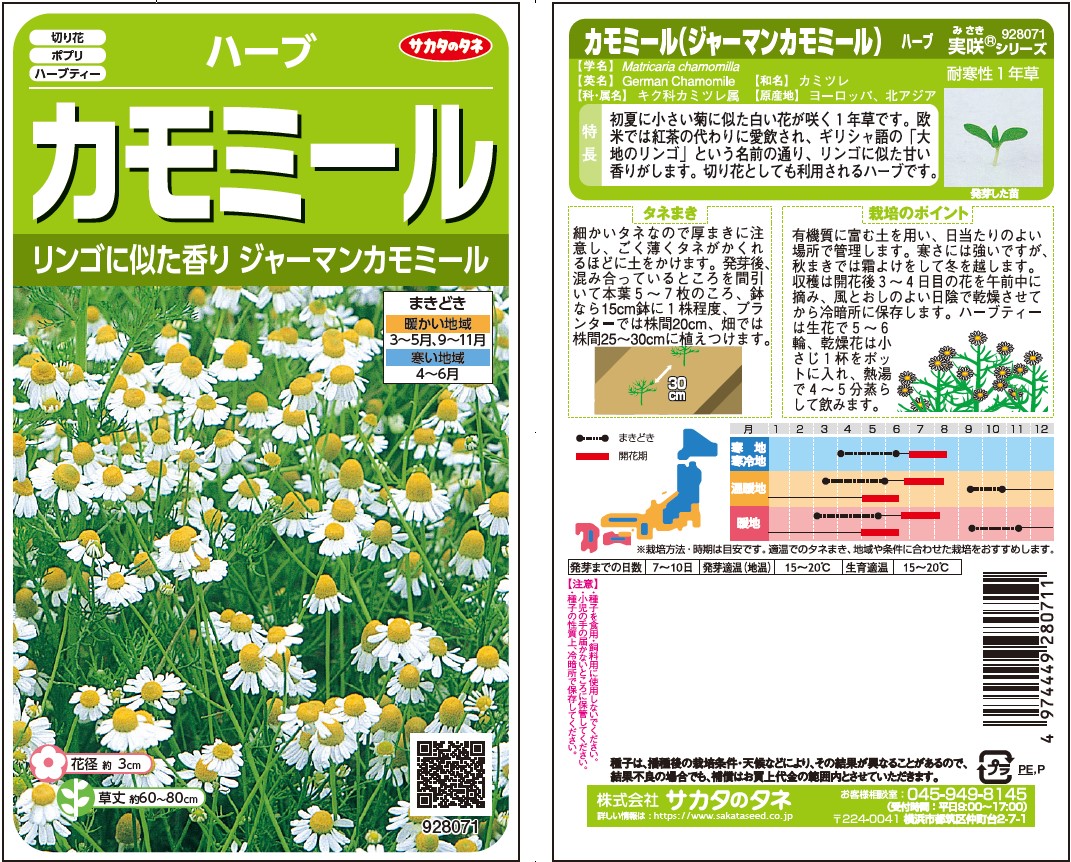 カモミールの種参考に 園芸ネット本店｜カモミール：ローマンカモミールの種[種 ハーブのタネ