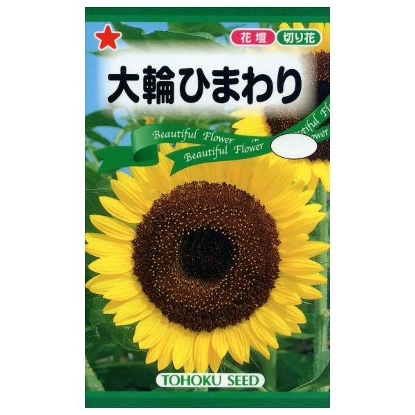 大輪ひまわり | 商品検索 | グッデイならできる♪家族でつくる、いい一