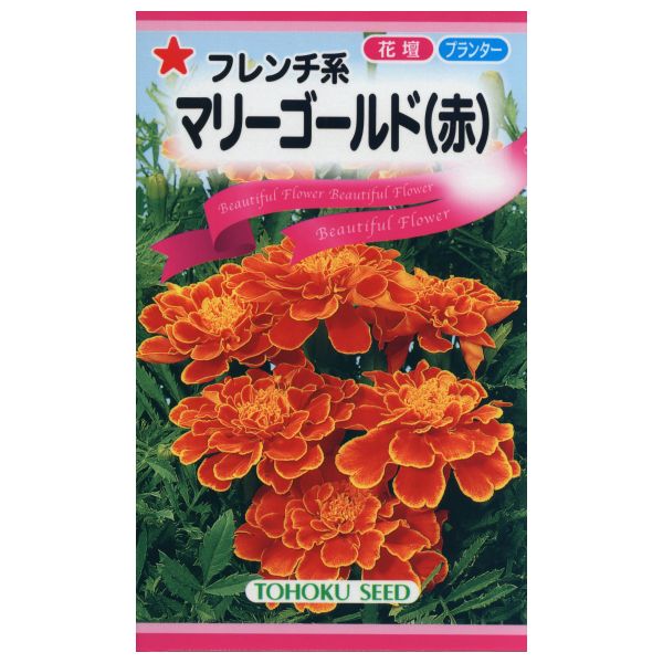 トーホク マリーゴールド（赤） | 商品検索 | グッデイならできる