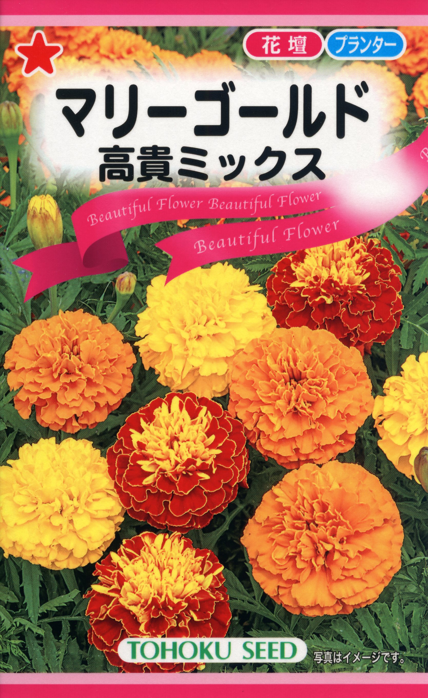 マリーゴールド 高貴ミックス | 商品検索 | グッデイならできる♪家族