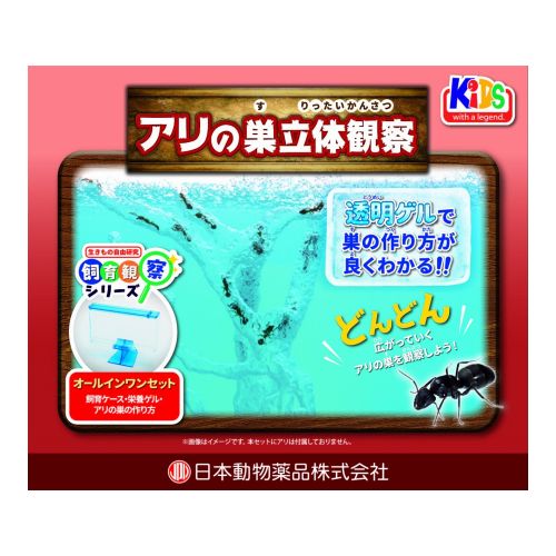 飼育観察セット アリの巣立体観察 ／ ニチドウ | 商品検索 | グッデイ
