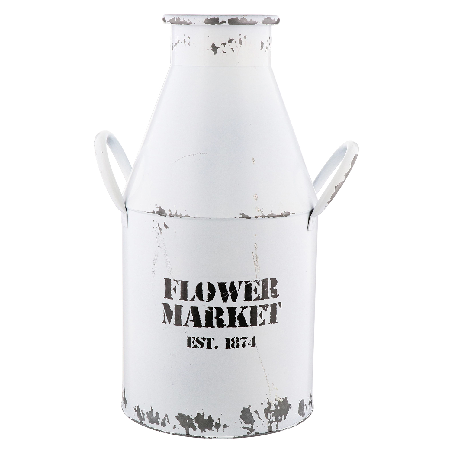 OZ❤️速達付き　同梱-100円　鉢のまま 検索結果 | 商品検索 | グッデイならできる♪家族でつくる、いい