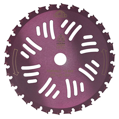 image1.jpg