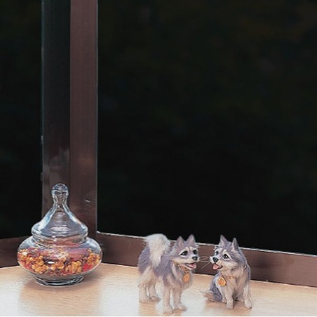 検索結果 | 商品検索 | グッデイならできる♪家族でつくる、いい一日