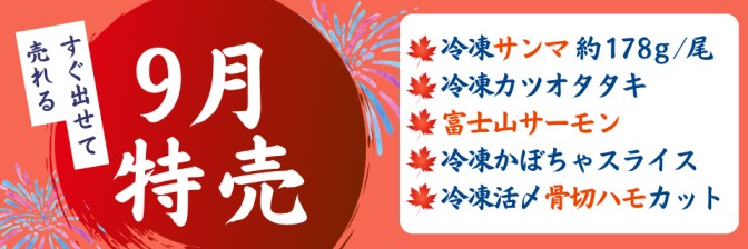 2026年9月 月間特売!