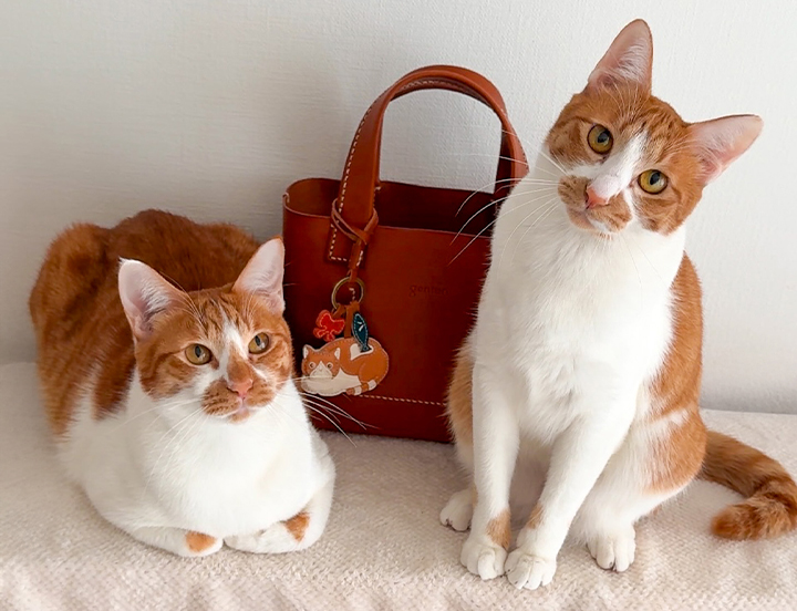 2/22猫の日に新作登場】愛らしいハチワレ猫と野の花のチャーム