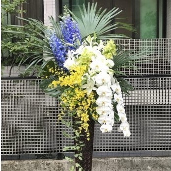 大場再生「花ならべ」、希少画集より、状態良好、新品高級額装付 NYRUVxmnlHfoP8caToQaD7nART8TDn