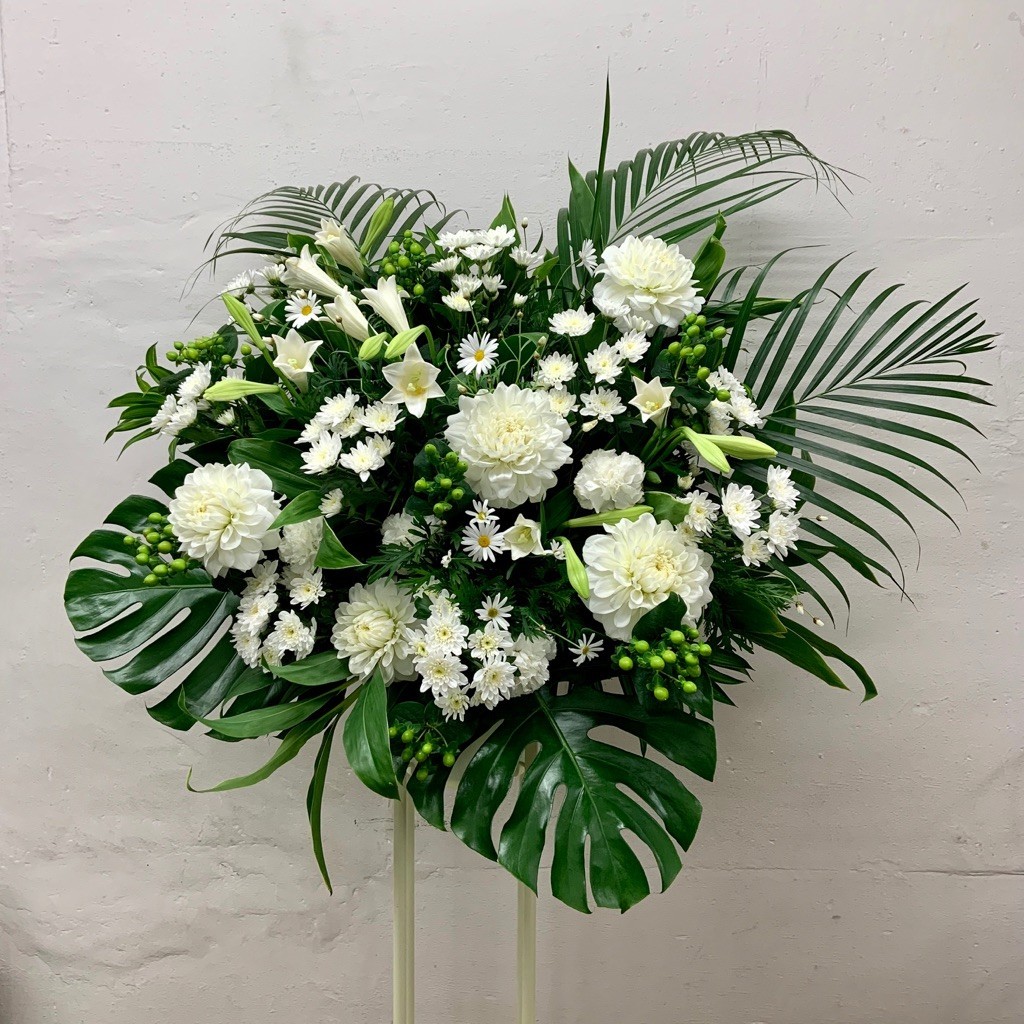 HlzVGya79S2YaZODtz7DDUiTjXD12A