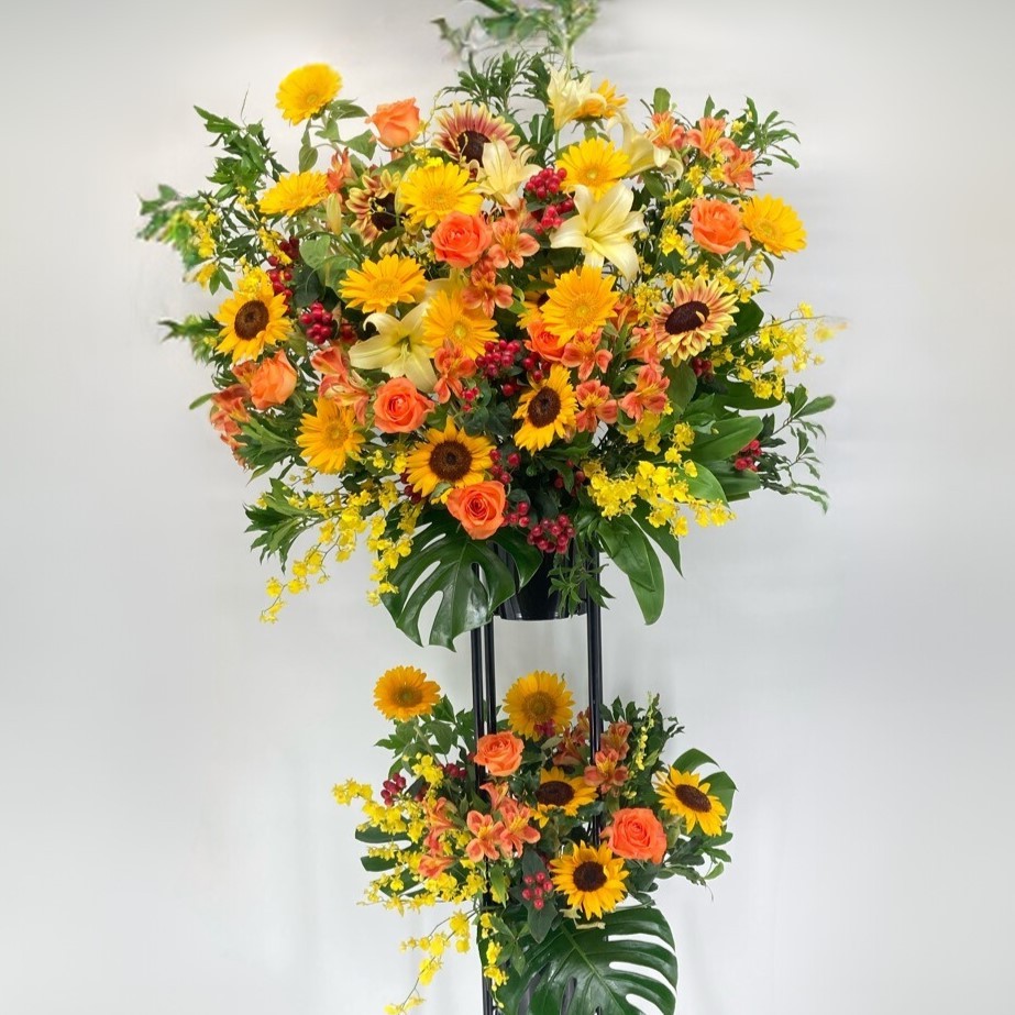 YWNuMd6mpvTYPPEIYjo7G1wzkOK6xp