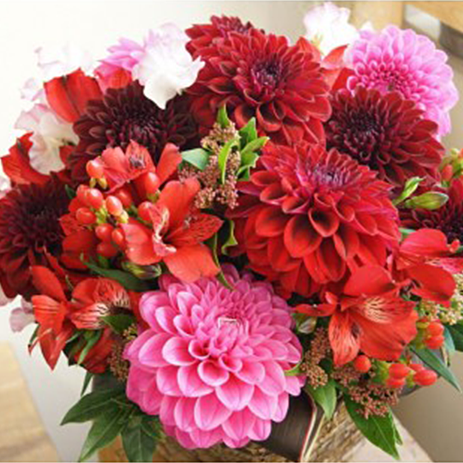 アレンジメント R 026 カラー レッド ピンク ピンクと赤のダリアを使った華やかなラウンド型アレンジ With Hana グリーンロード運営