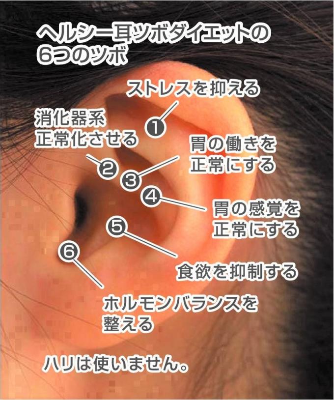 正月太り解消!お試し880円イメージ1