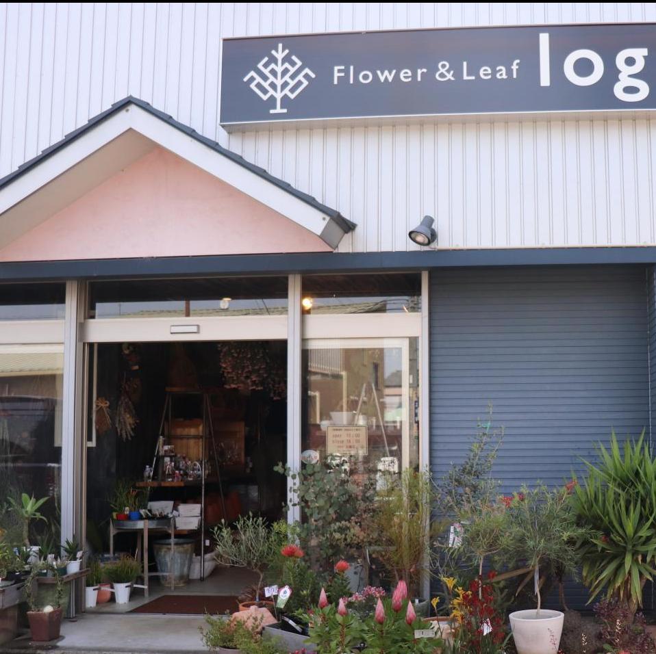 Flower Leaf Log フラワーアンドリーフログ 静岡市駿河区 Womo