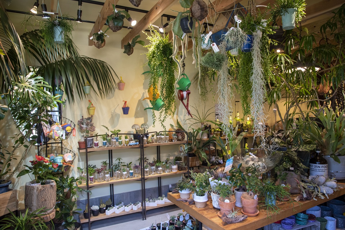 Green Village oceanside(グリーン ビレッジ オーシャンサイド) | 静岡